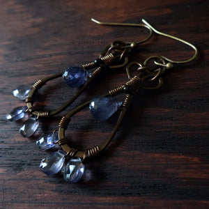 Temple Tree Pendulum Dangles in Bronze - Iolite