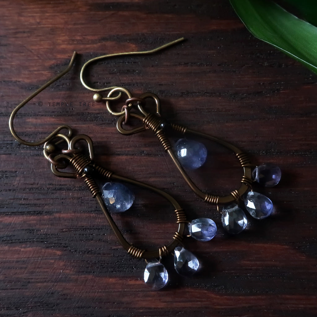 Temple Tree Pendulum Dangles in Bronze - Iolite