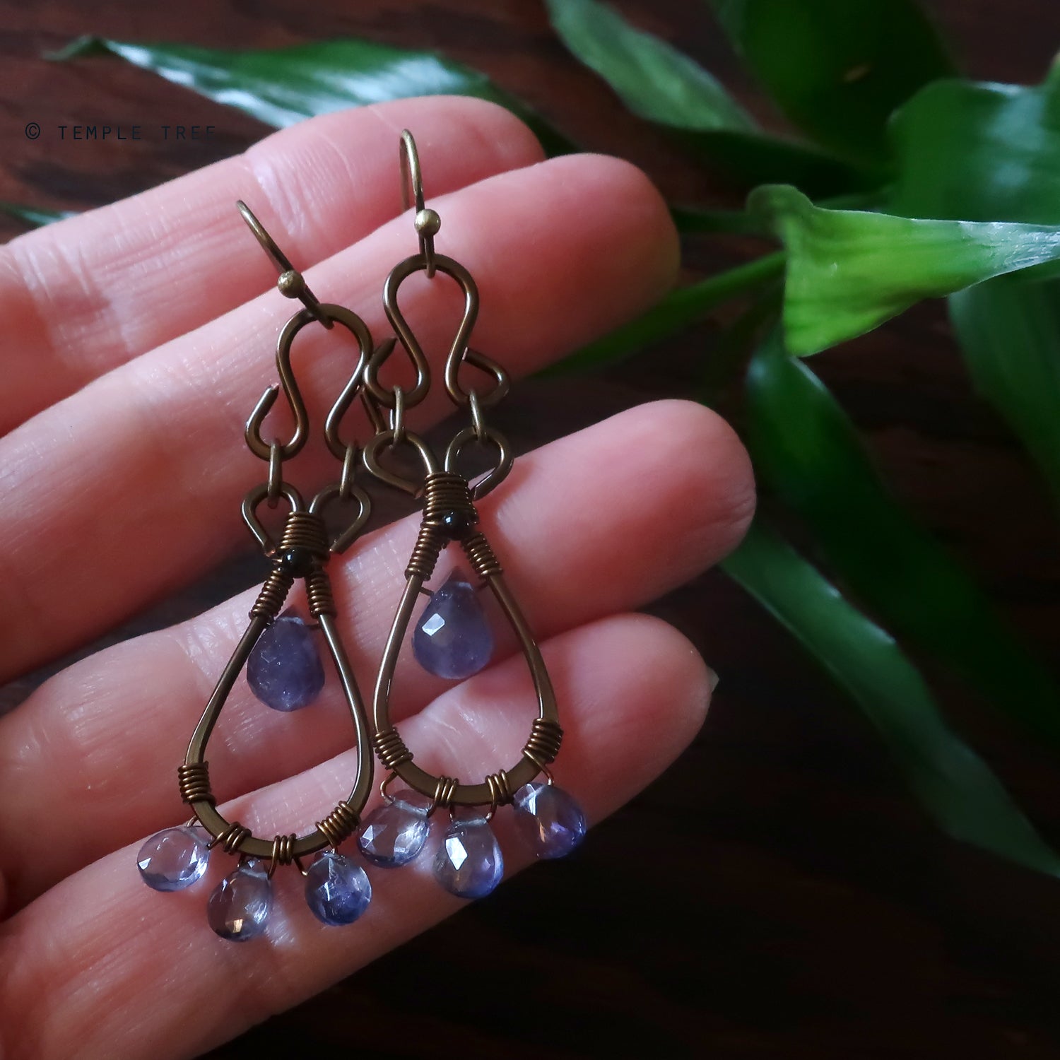 Temple Tree Pendulum Dangles in Bronze - Iolite